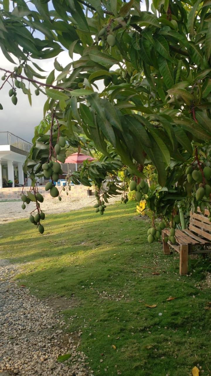 Casa De Campo Nerys San Juan de la Maguana ภายนอก รูปภาพ