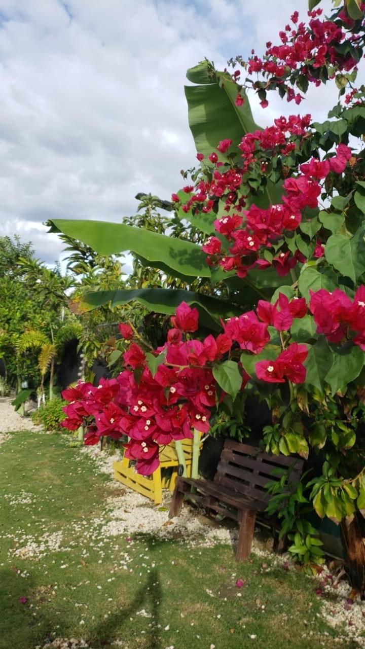Casa De Campo Nerys San Juan de la Maguana ภายนอก รูปภาพ
